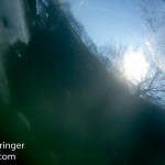 sonne und eis   beim eistauchen durch das eis nach oben fotographiert
