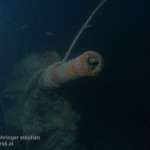wracktauchen medulin